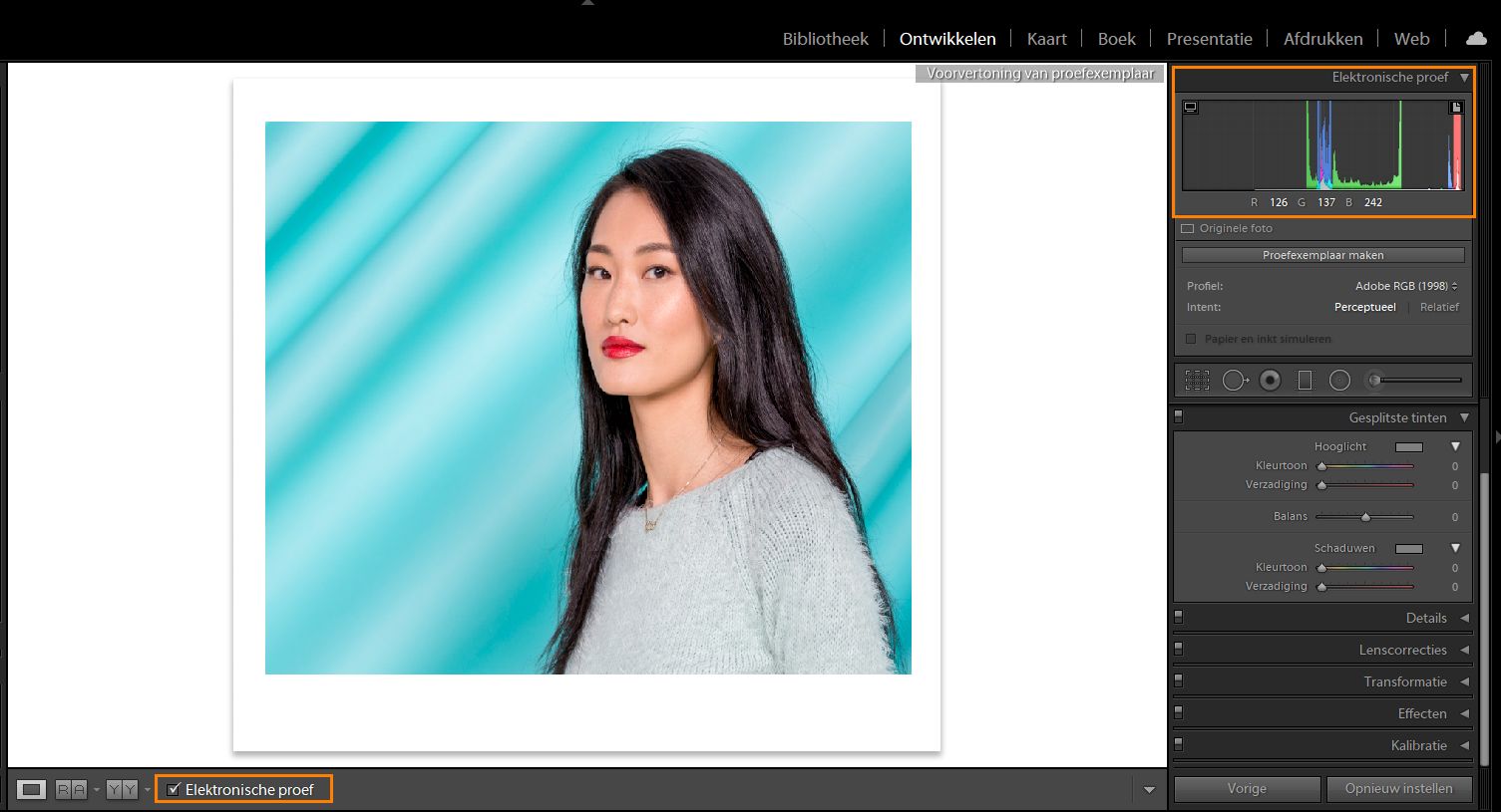 Elektronische proef in de module Ontwikkelen van Lightroom Classic