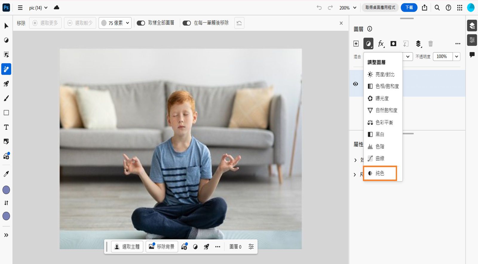 系統會顯示網頁版 Photoshop 首頁畫面中畫布上已開啟影像。游標放在「圖層」面板中可於「調整」選單下拉式清單下找到的「純色」選項上。 