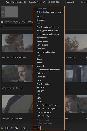 Ordinare le icone nel pannello progetto