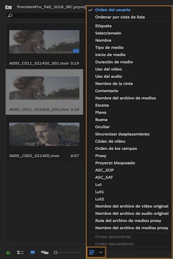Ordenar los iconos en el panel Proyecto
