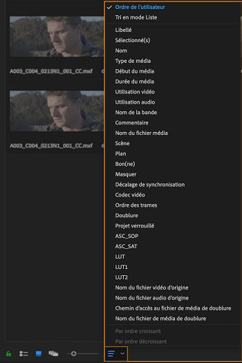 Tri des icônes dans le panneau Projet