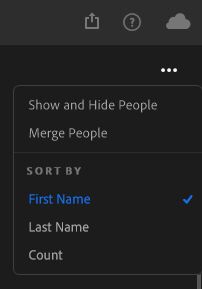 Sorter personklynger på fornavn, etternavn eller antall.