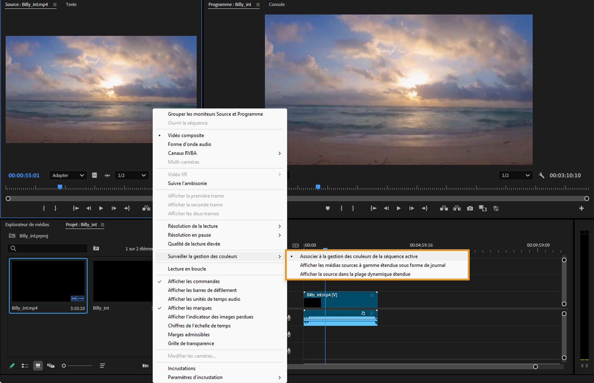 Le moniteur source offre trois options différentes pour afficher vos médias sources.