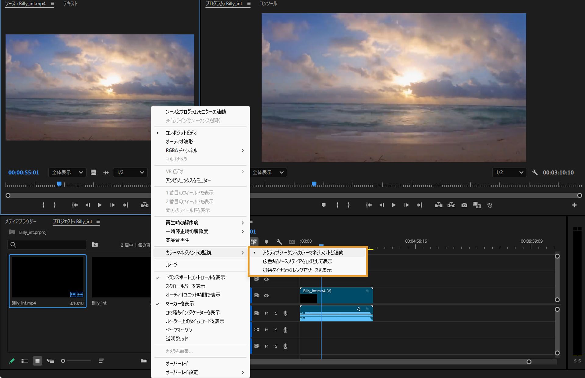 ソースモニターには、ソースメディアの表示方法に関する 3 つのオプションが用意されています。