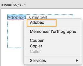 Sélectionner le mot correctement orthographié