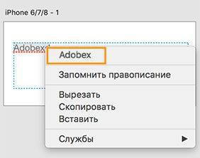 Выбор правильно написанного слова