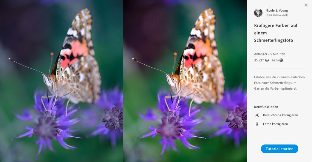 Starte das Tutorial.