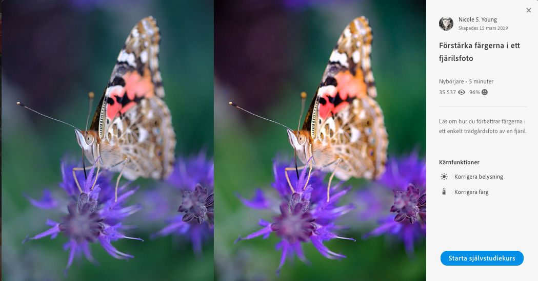 Starta självstudiekurs