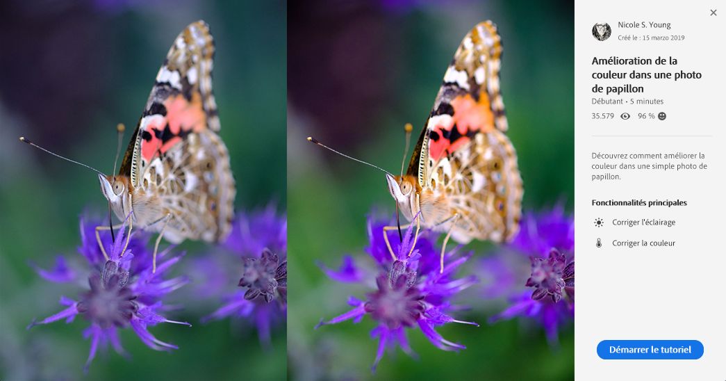 Démarrer le tutoriel