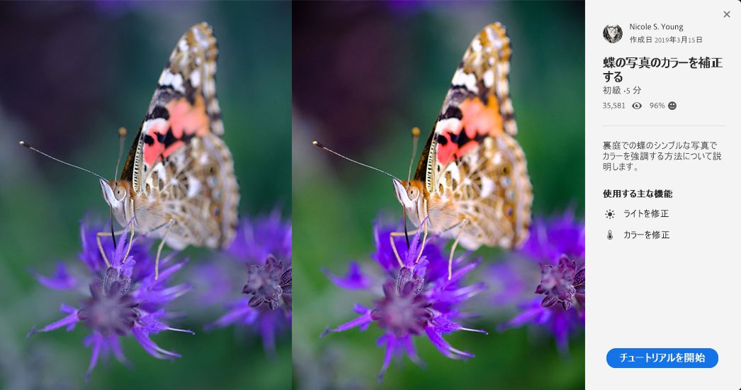 チュートリアルを見る