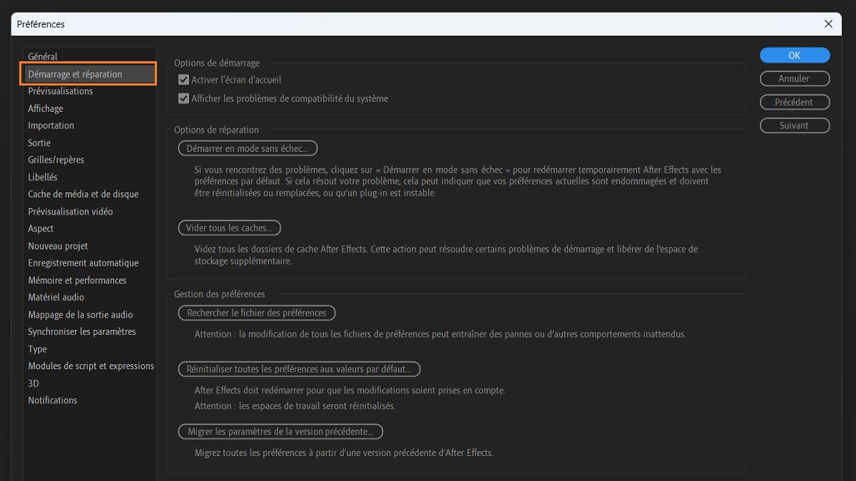 Option Démarrer et réparer dans la boîte de dialogue Préférences.
