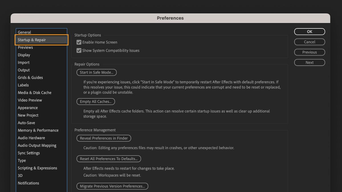 Startup & Repair option in the Preferences dialog.