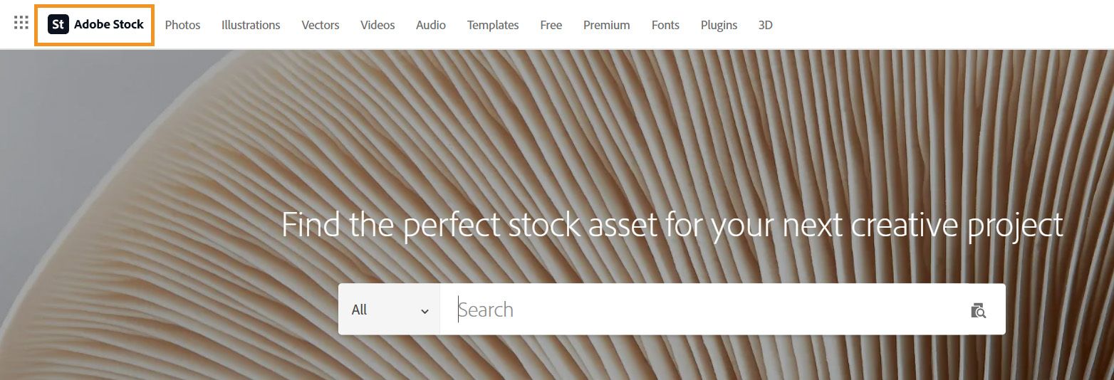 Onglet Stock et Marketplace du site web de Creative Cloud