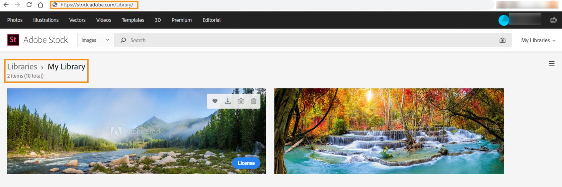 Biblioteka w serwisie internetowym Stock wyświetla tylko zasoby z tego serwisu