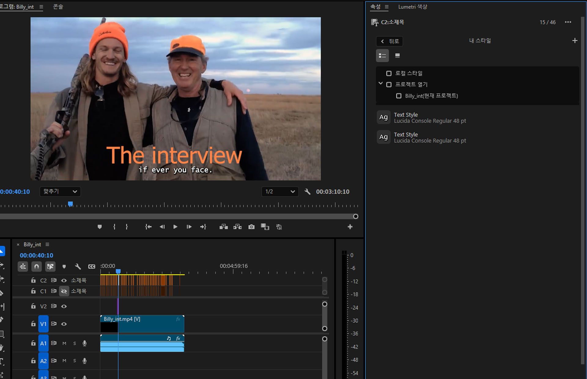 단일 텍스트 레이어에 적용된 다양한 스타일을 보여 주는 UI.