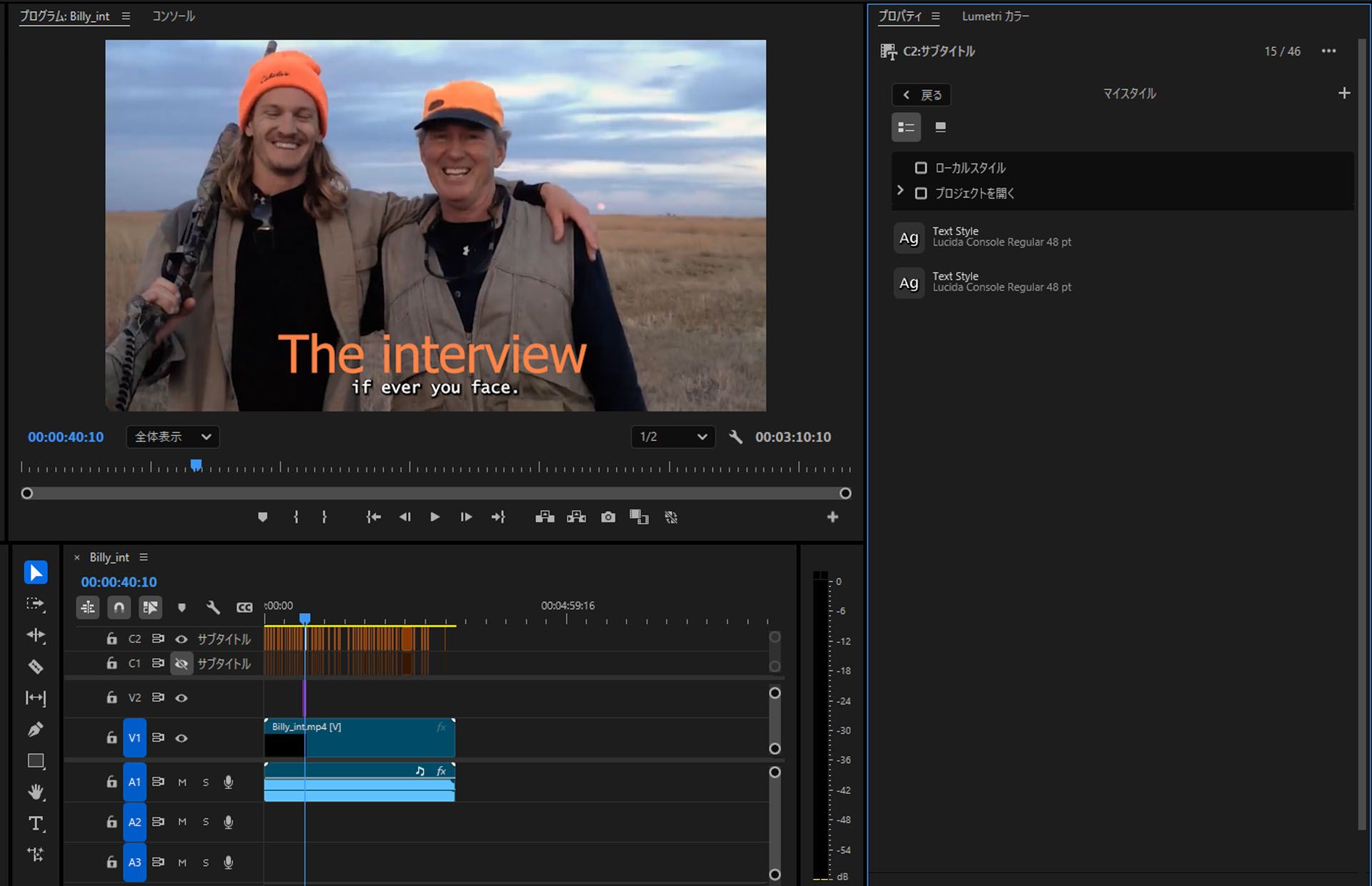 UI には、1 つのテキストレイヤーに適用された様々なスタイルが表示されます。