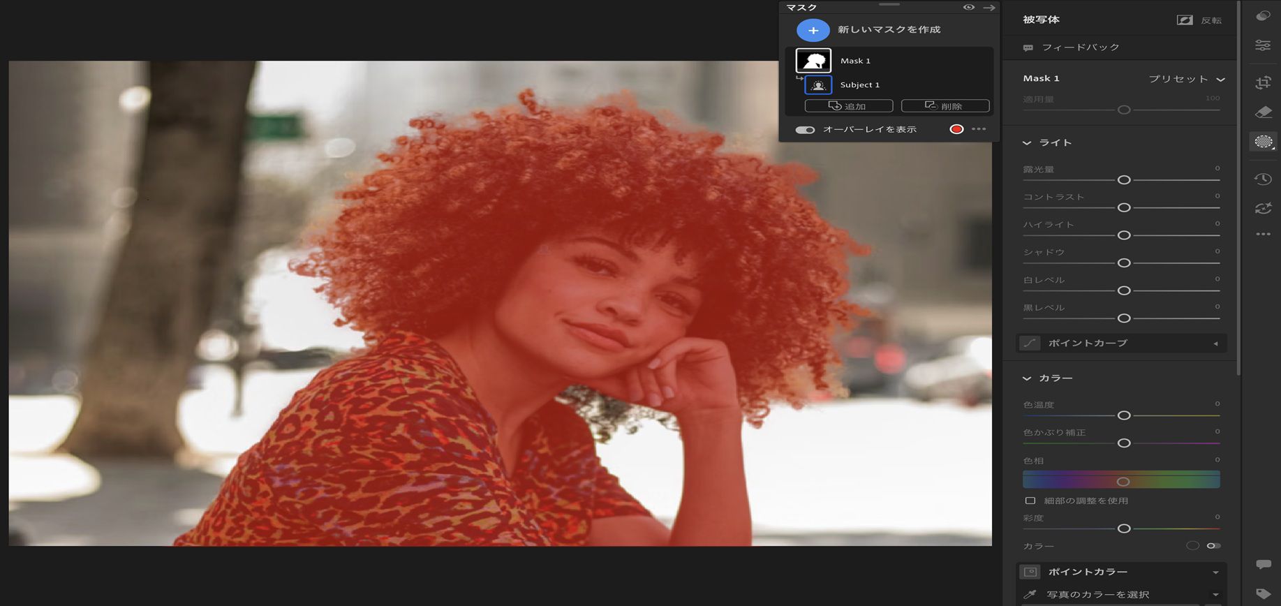 Lightroom の「被写体を選択」インターフェイスで、写真の被写体として巻き毛の少女が選択されています。
