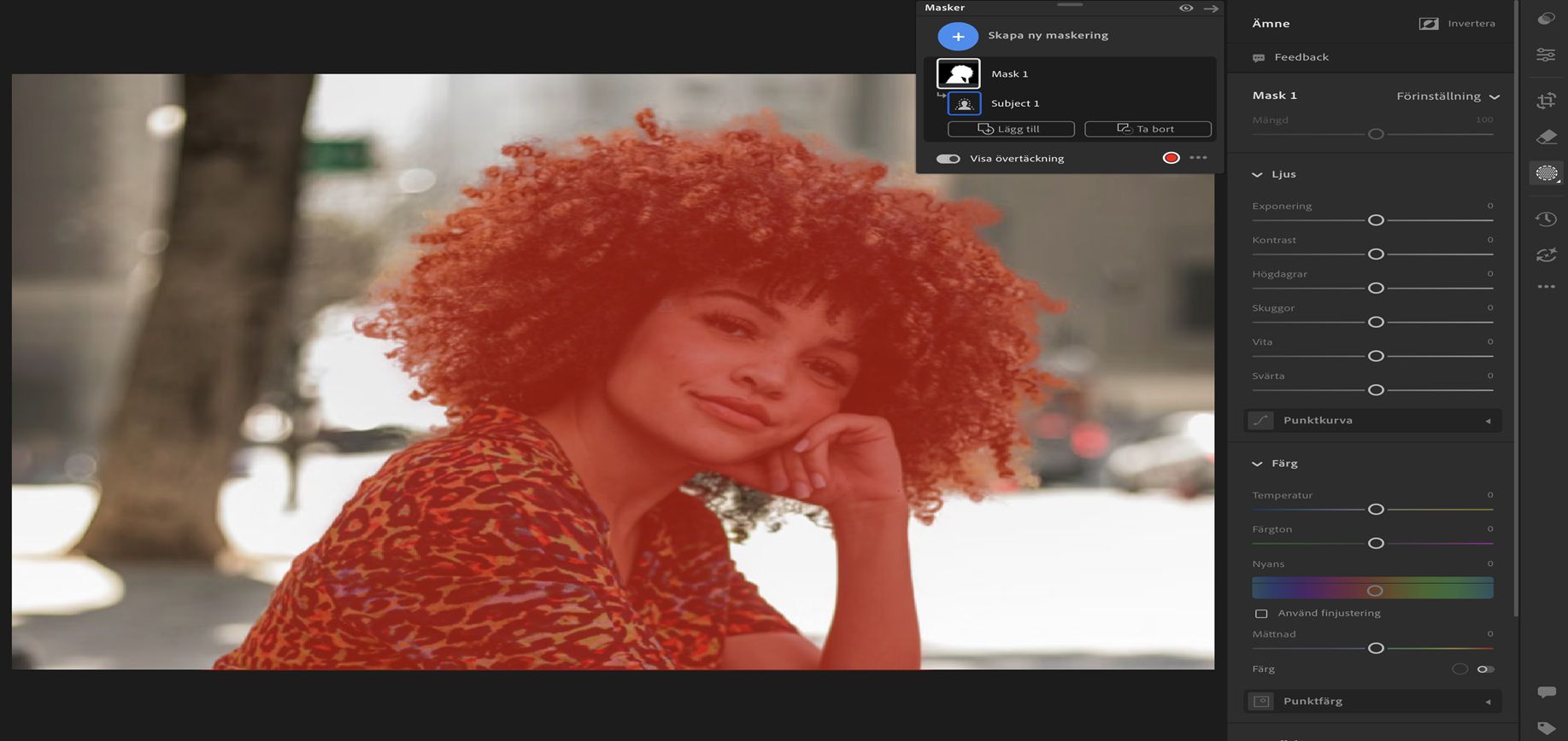 Gränssnittet för Välj motiv i Lightroom visar en flicka med lockigt hår som är vald som motiv i ett foto.