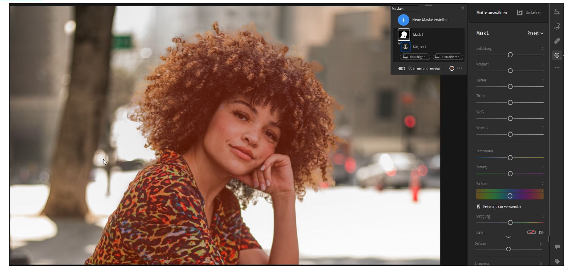 Das Motiv wird in Lightroom Desktop automatisch ausgewählt