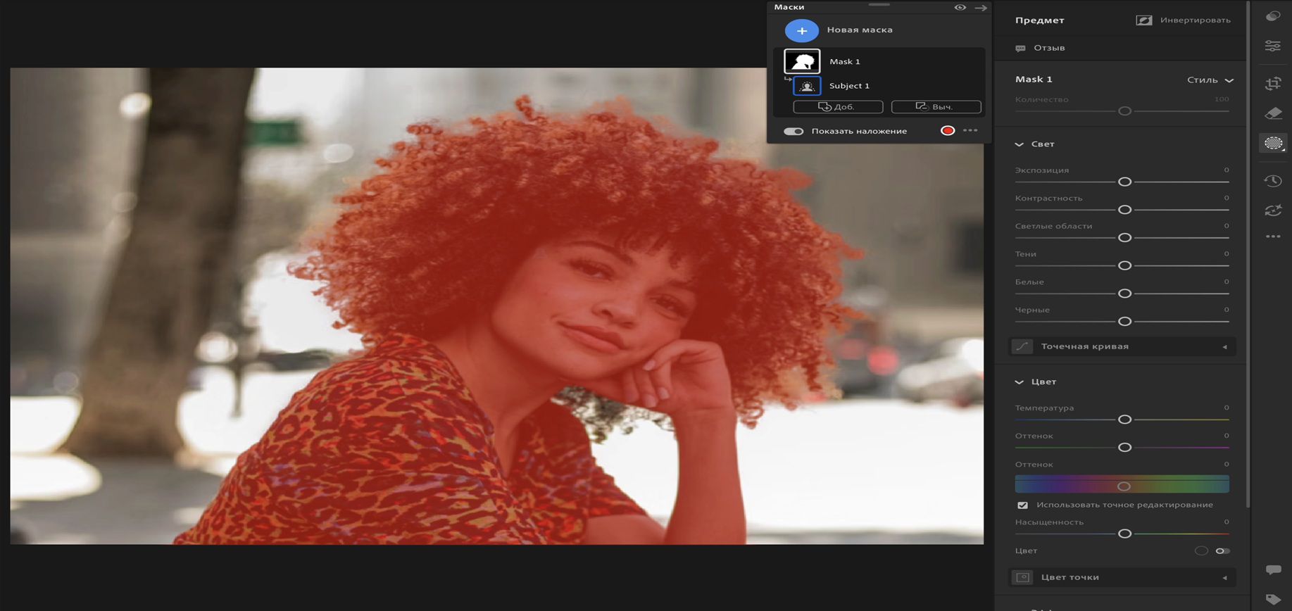 Интерфейс «Выделить предмет» в Lightroom, показывающий, что девушка с кудрявыми волосами выбрана в качестве предмета на фотографии.