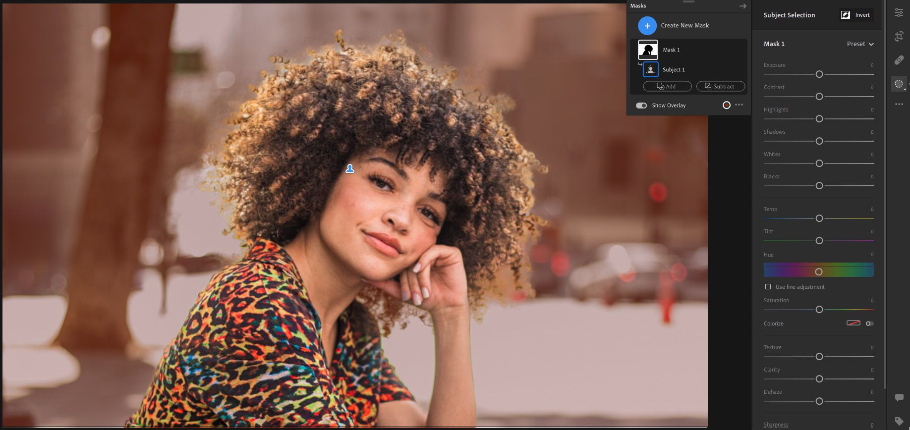 Fare clic su Inverti per selezionare tutte le aree a eccezione del soggetto