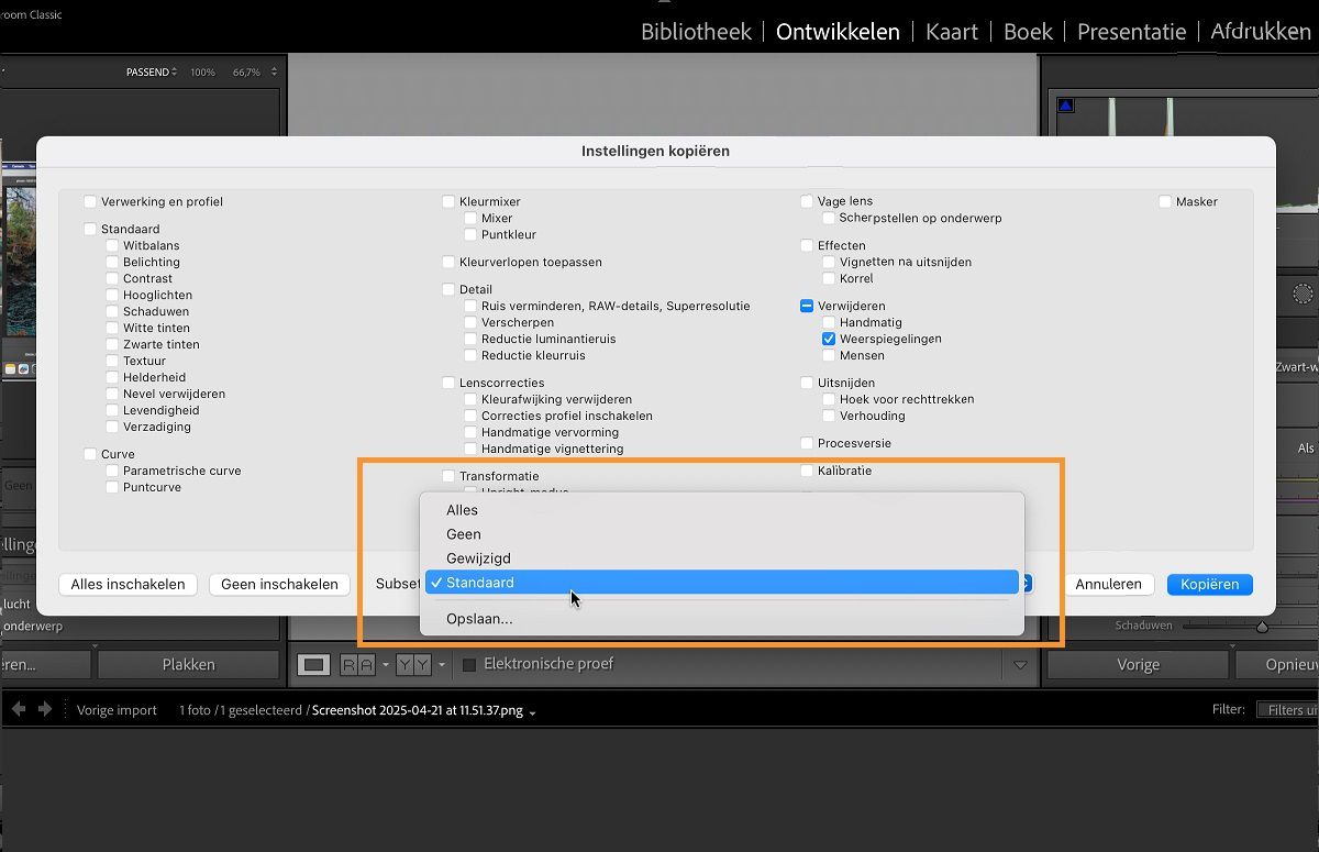 Het dialoogvenster Instellingen kopiëren in Lightroom Classic is geopend.Het subset-gedeelte wordt gebruikt om een set vooraf gedefinieerde instellingen te selecteren die u kunt kopiëren en plakken.