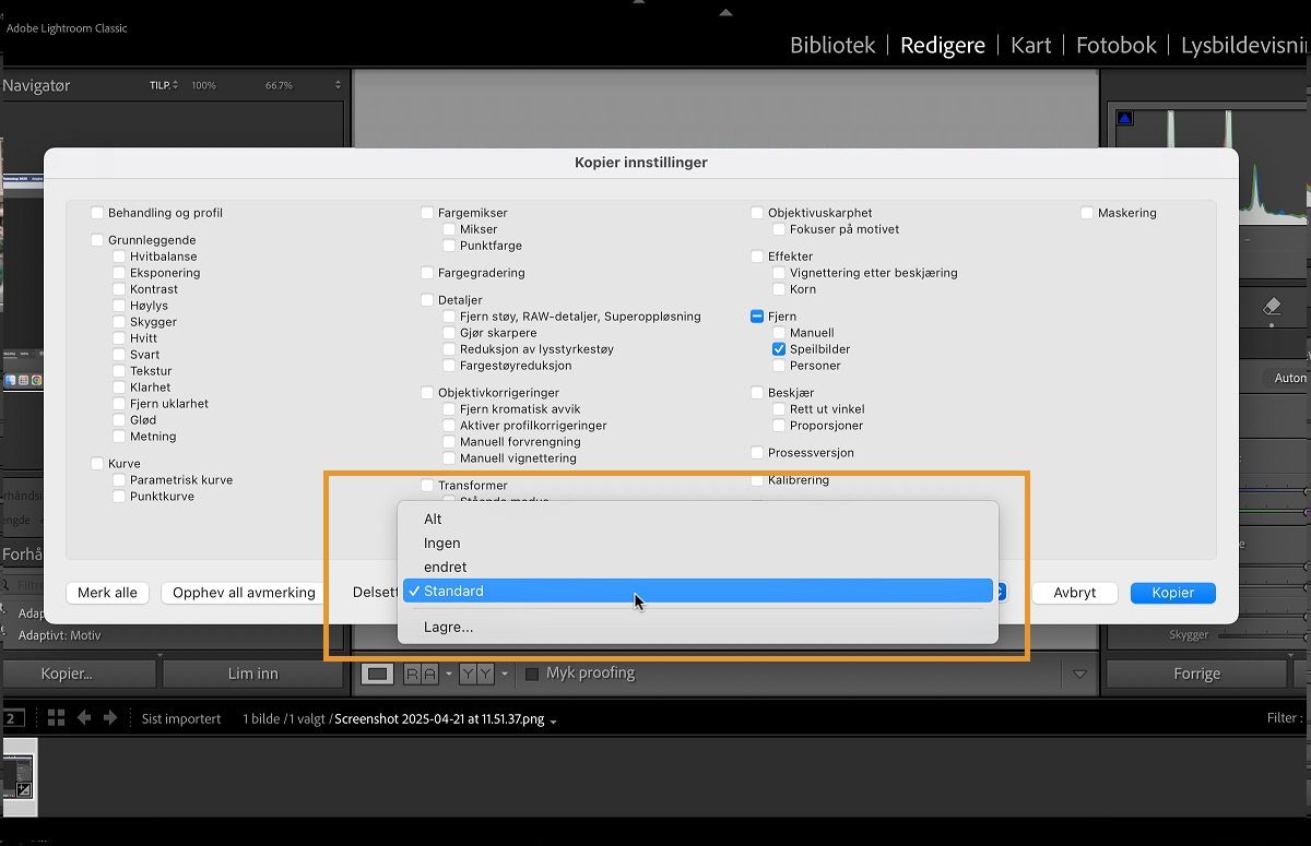 Dialogboksen Kopier innstillinger i Lightroom Classic er åpen. Delsett-delen brukes til å velge et sett med forhåndsdefinerte innstillinger som du kan kopiere og lime inn.