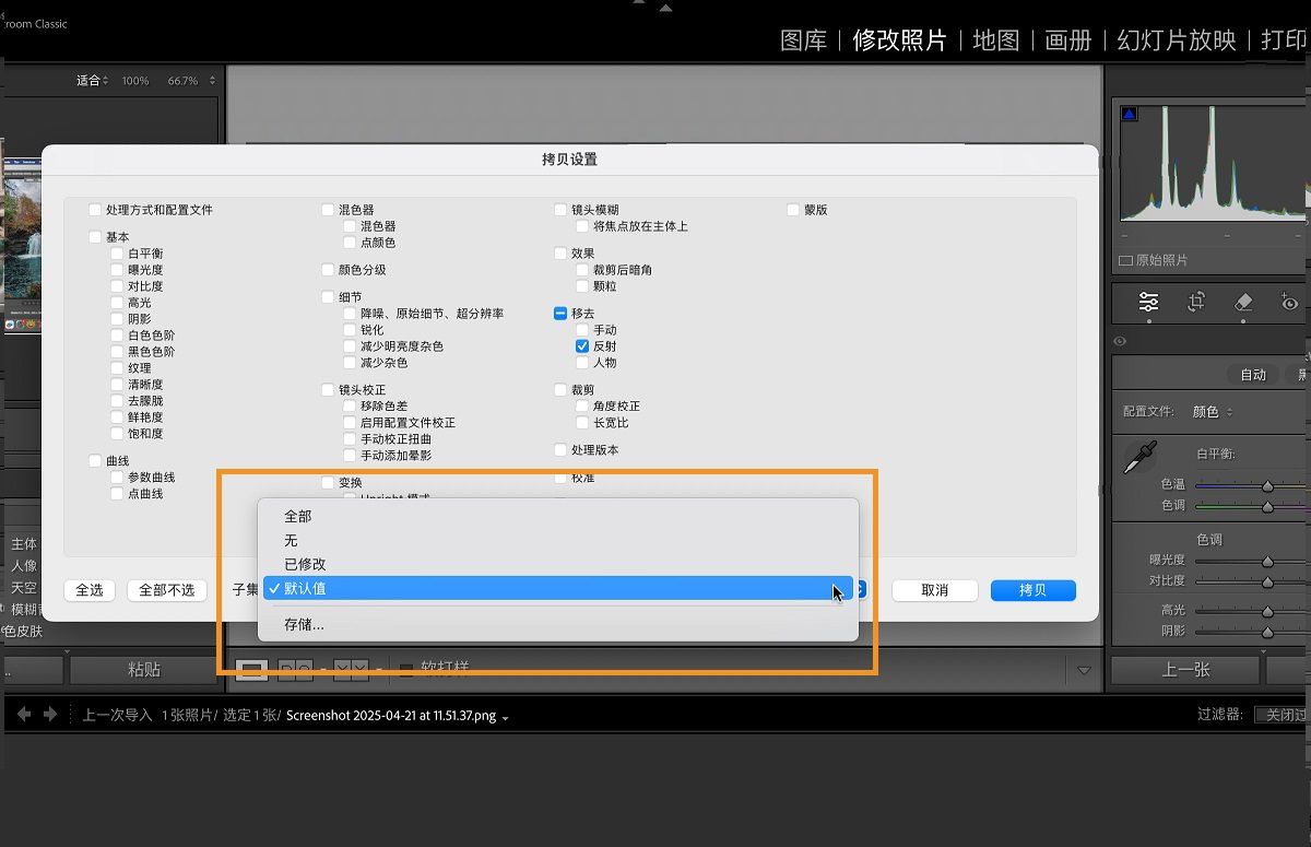 Lightroom Classic 中的“复制设置”对话框已打开。子集部分用于选择一组预定义设置，您可以复制和粘贴这些设置。