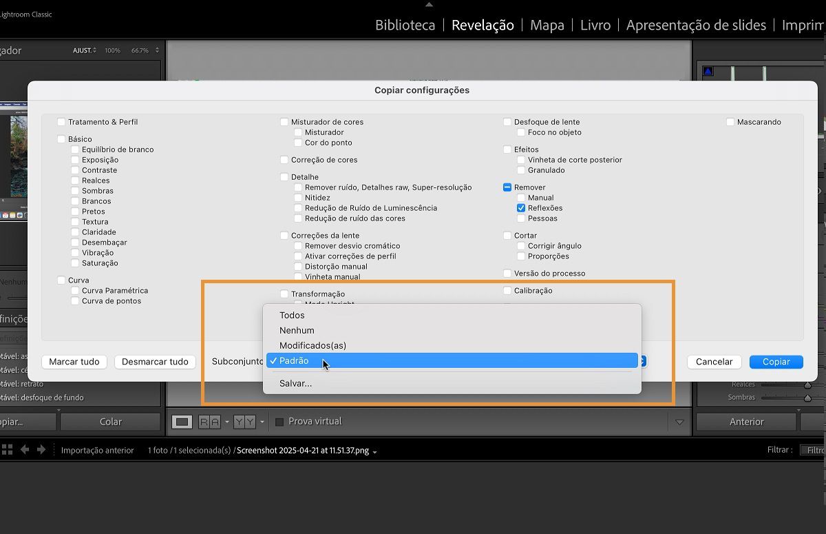 A caixa de diálogo Copiar configurações no Lightroom Classic está aberta.A seção de subconjunto é usada para selecionar um conjunto de configurações predefinidas que você pode copiar e colar.