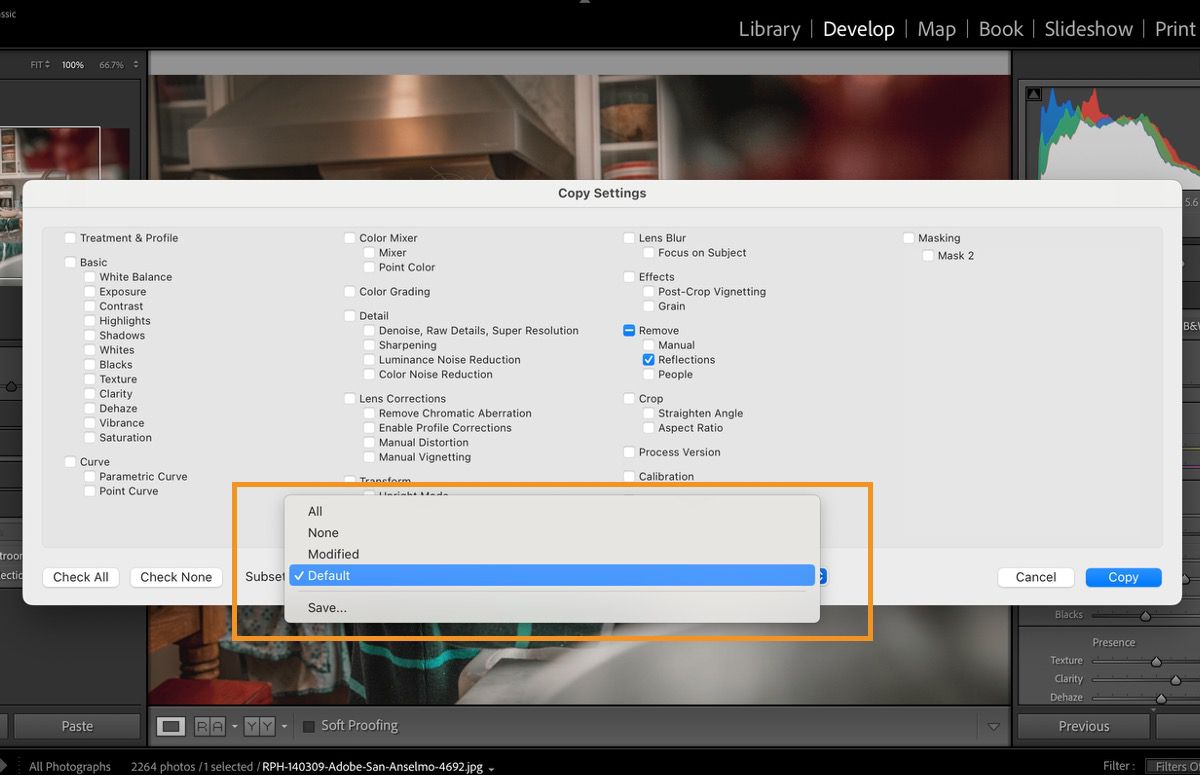 The Copy settings dialog box in Lightroom Classic is open. The subset section is used to select a set of predefined settings that you can copy and paste.