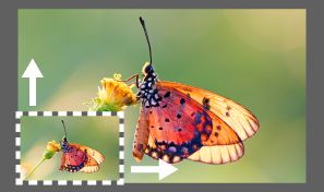 Super Resolution in Camera Raw für doppelte Bildauflösung angewendet