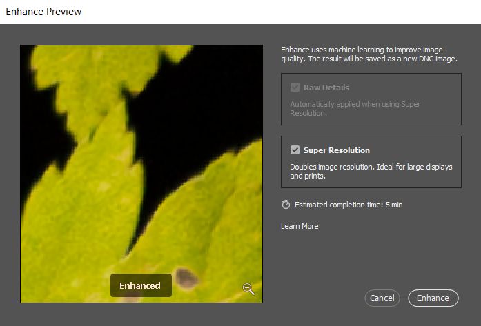 Görüntü çözünürlüğünü iki katına çıkarmak için Camera Raw'da uygulanan Süper Çözünürlük