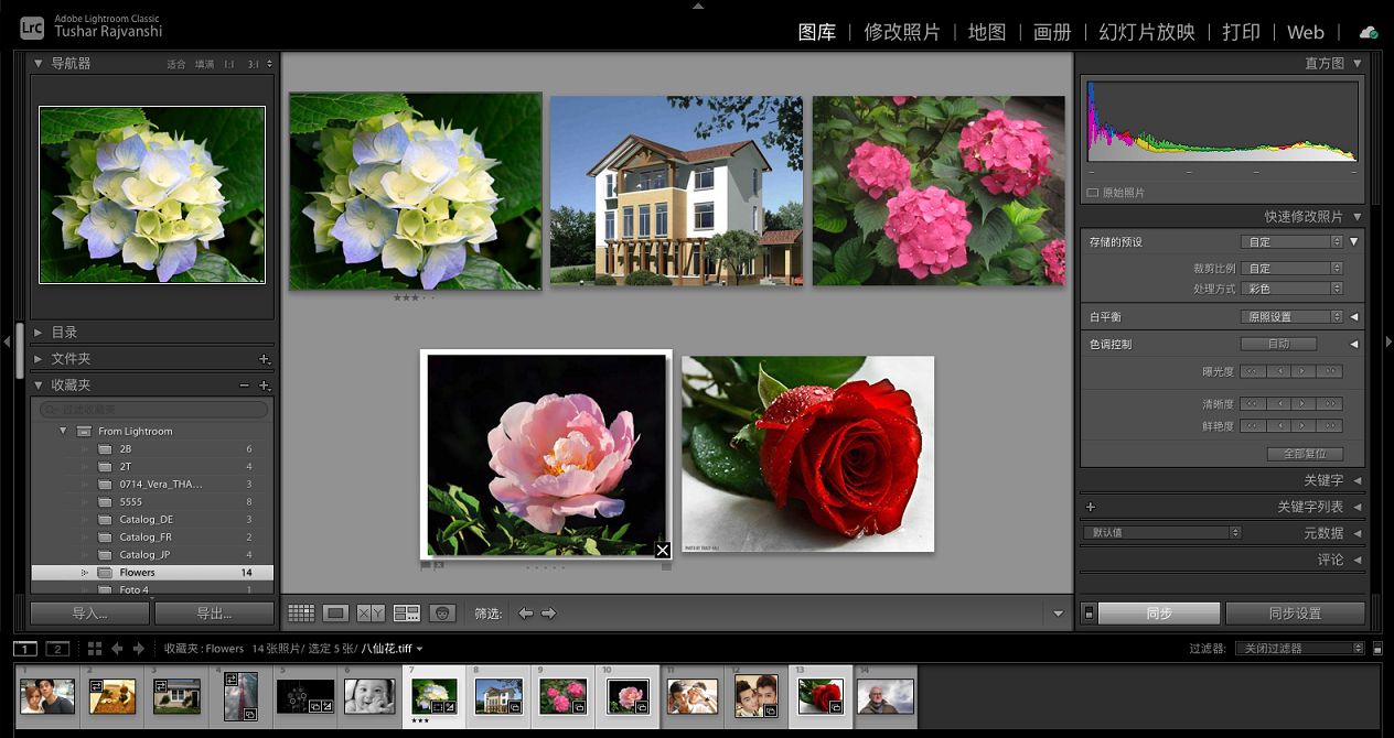 Lightroom Classic“图库”模块中的“筛选”视图