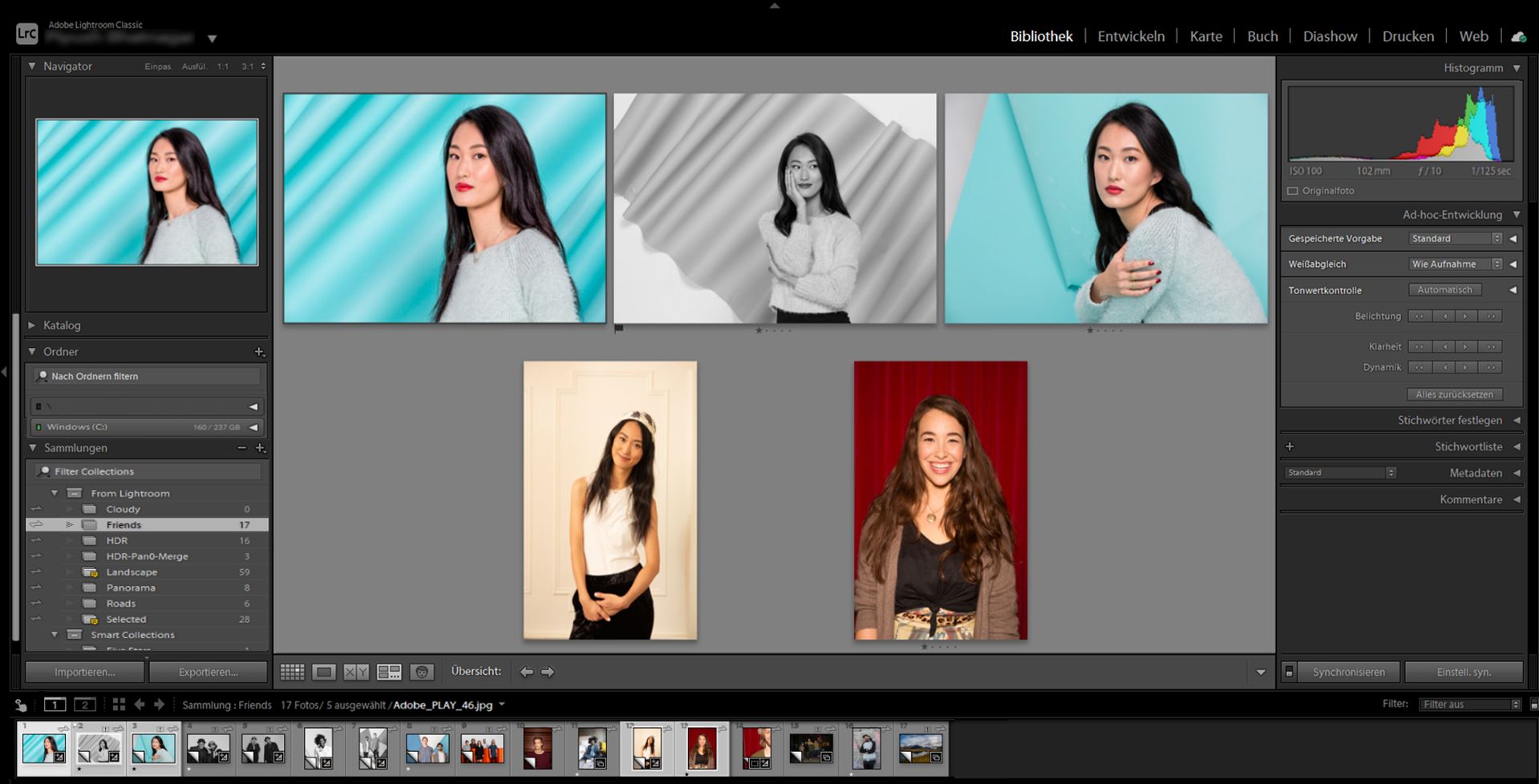 Представление «Обзор» в модуле «Библиотека» в Lightroom Classic 