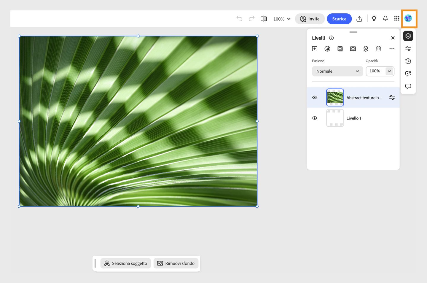 L'area di lavoro di photoshop web mostra la sezione Account evidenziata, che può essere utilizzata per passare a account diversi.