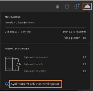 Synkroniseringsstatus