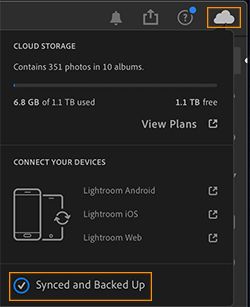 Synkroniseringsstatus