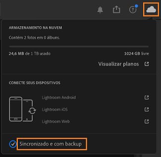 Status da sincronização