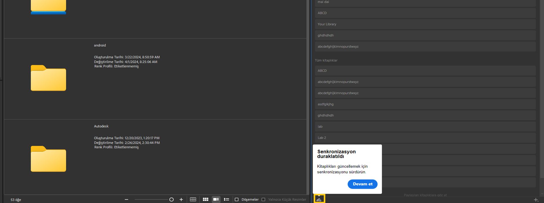 Kitaplık senkronizasyonu Adobe Bridge'de duraklatıldı.