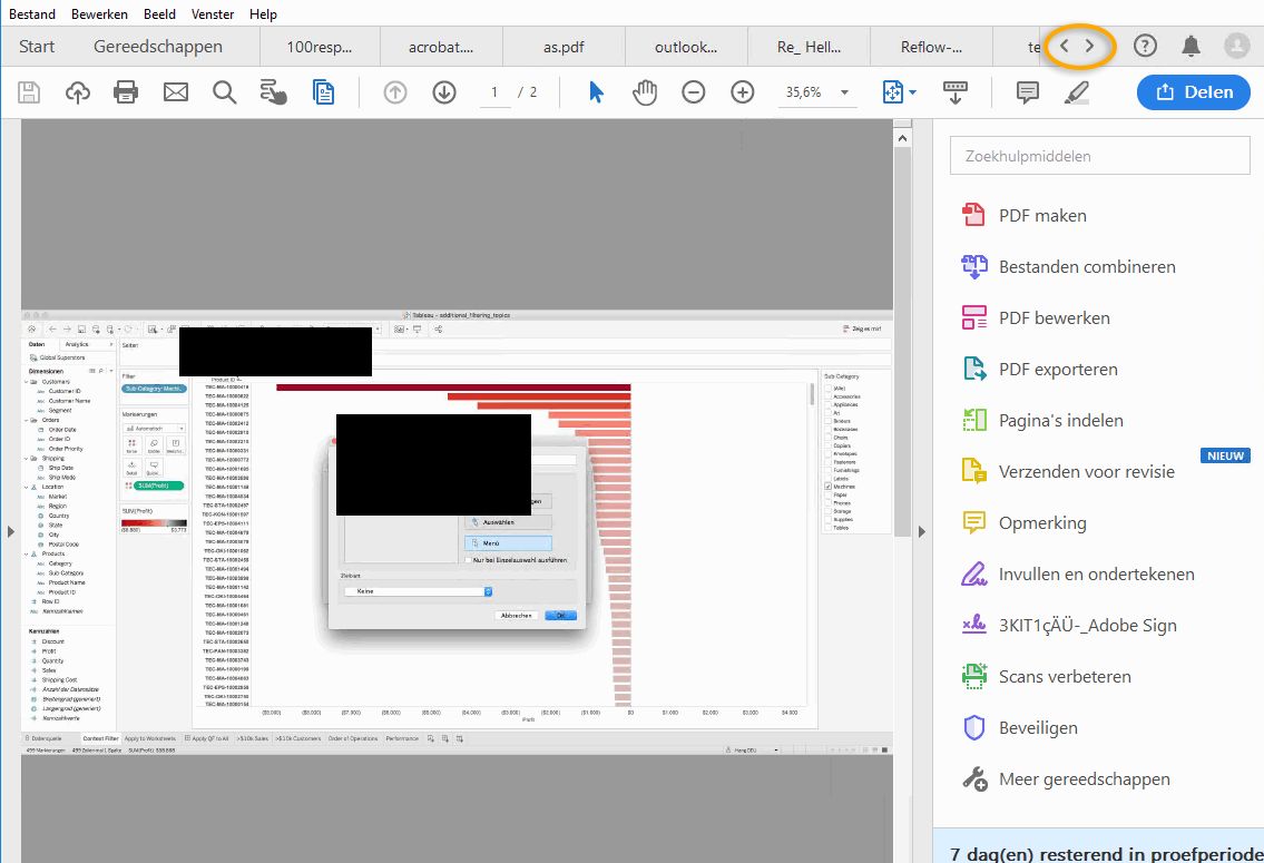 Documentweergave met tabbladen voor het bekijken van meerdere PDF's