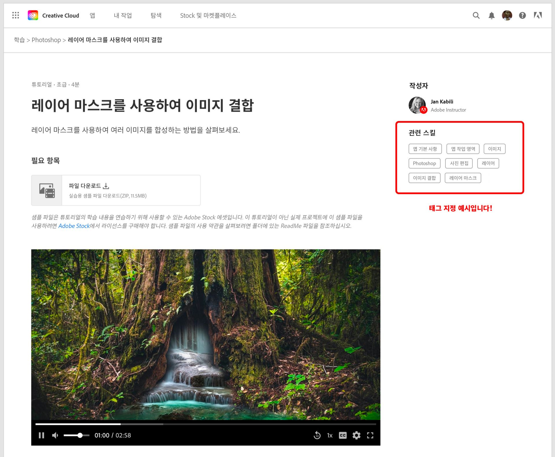 웹 튜토리얼에 표시된 태그 예시