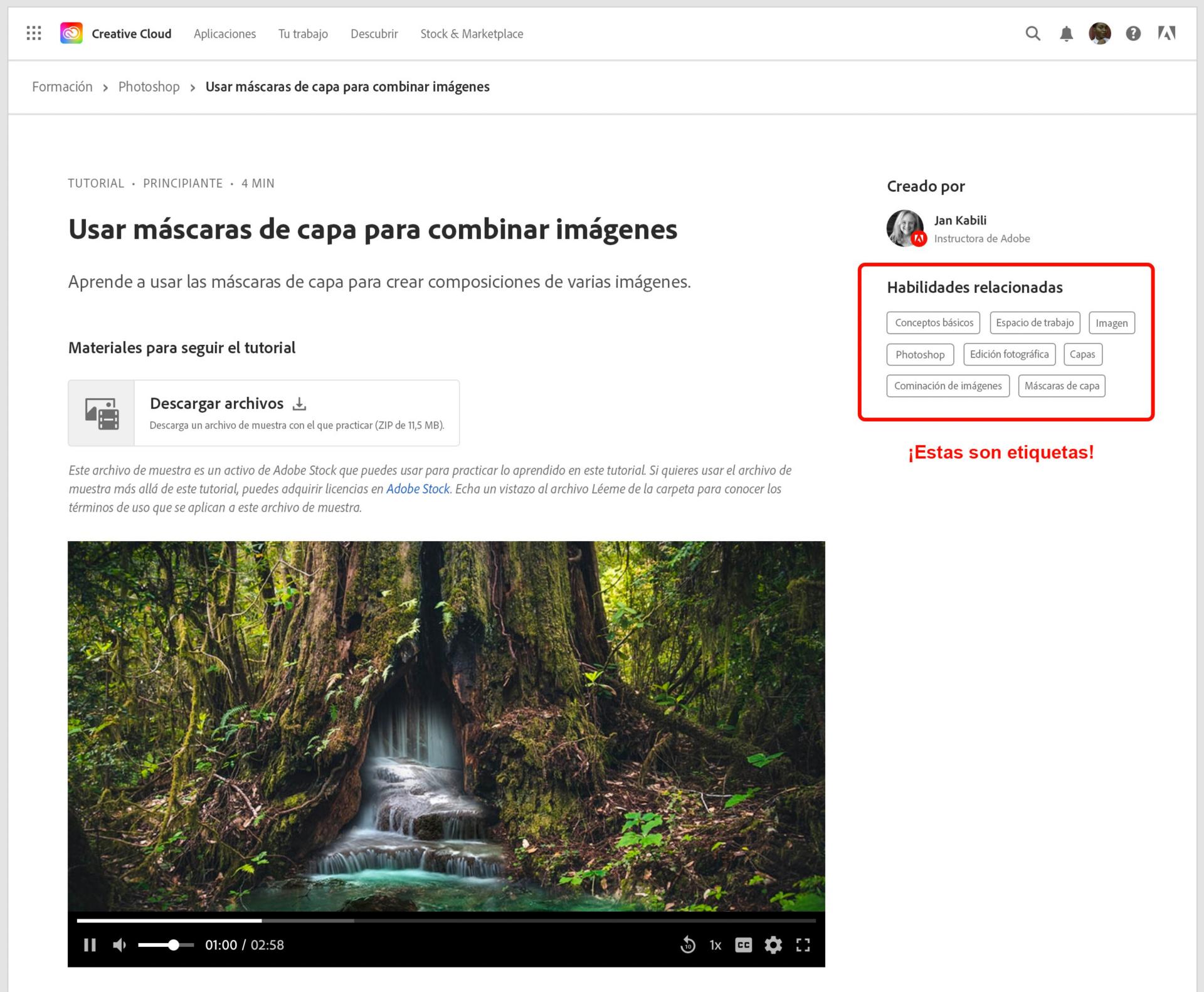 Etiquetas en el tutorial web