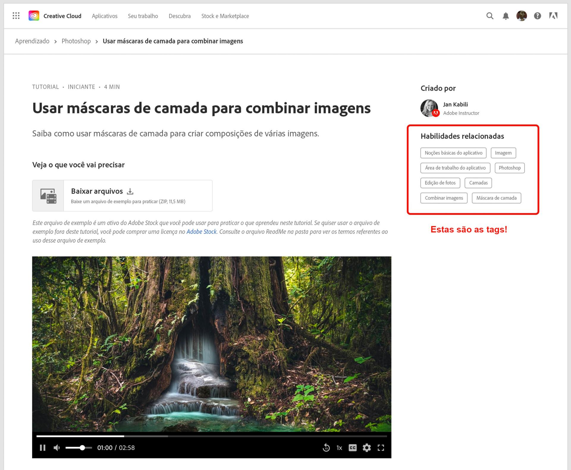 Tags exibidas em tutorial online