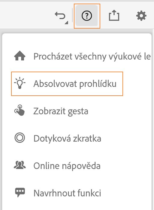 absolvovat prohlídku