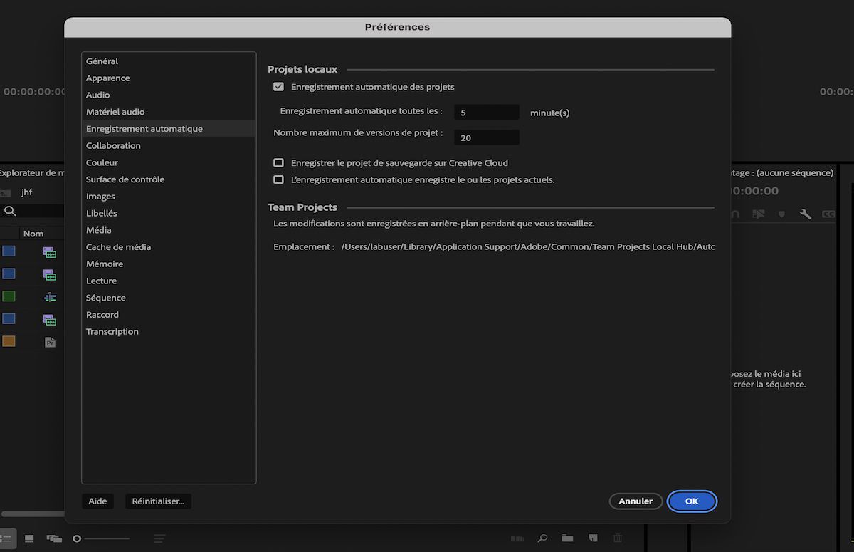 Copie d’écran montrant l’option permettant de spécifier un emplacement sur le système pour le cache d’enregistrement automatique du Projet d’équipe.