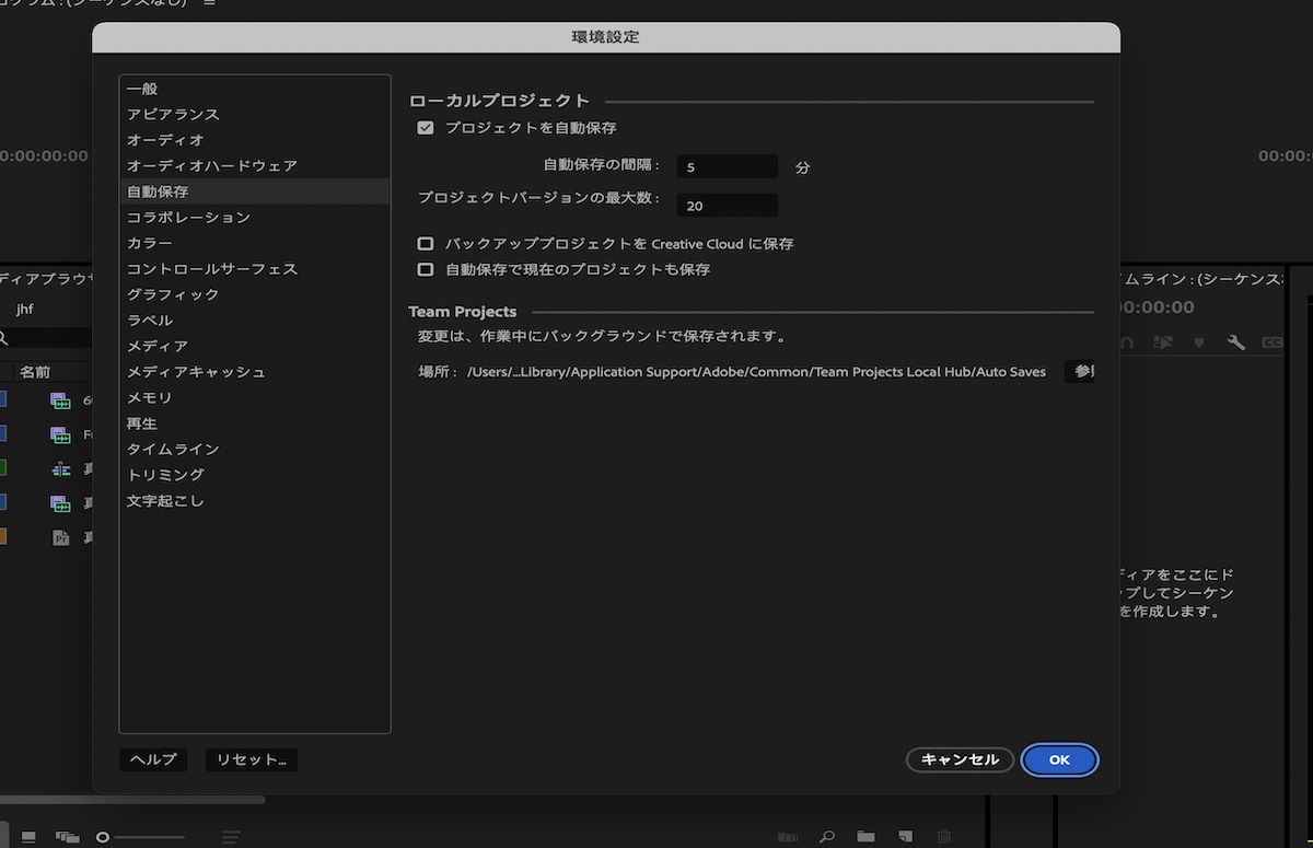 チームプロジェクトの自動保存キャッシュのシステム上の場所を指定するオプションを示すスクリーンショット。
