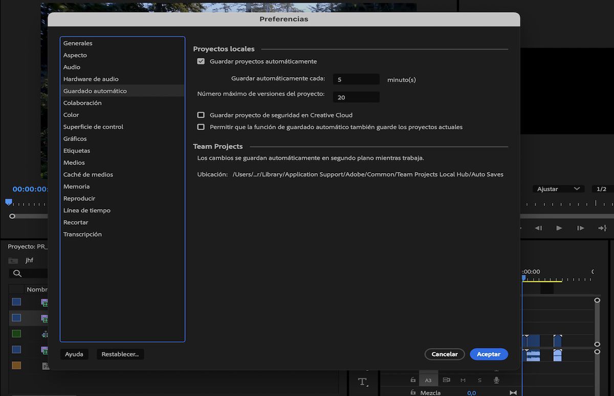 Captura de pantalla que muestra la opción de especificar una ubicación en el sistema para la caché de guardado automático del proyecto de equipo.