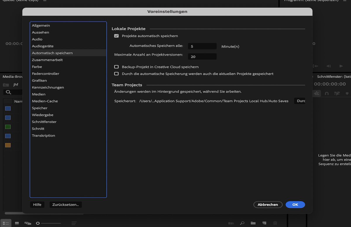 Ein Screenshot, der die Option zeigt, einen Speicherort auf dem System für den Cache für das automatische Speichern von Team-Projekten anzugeben.
