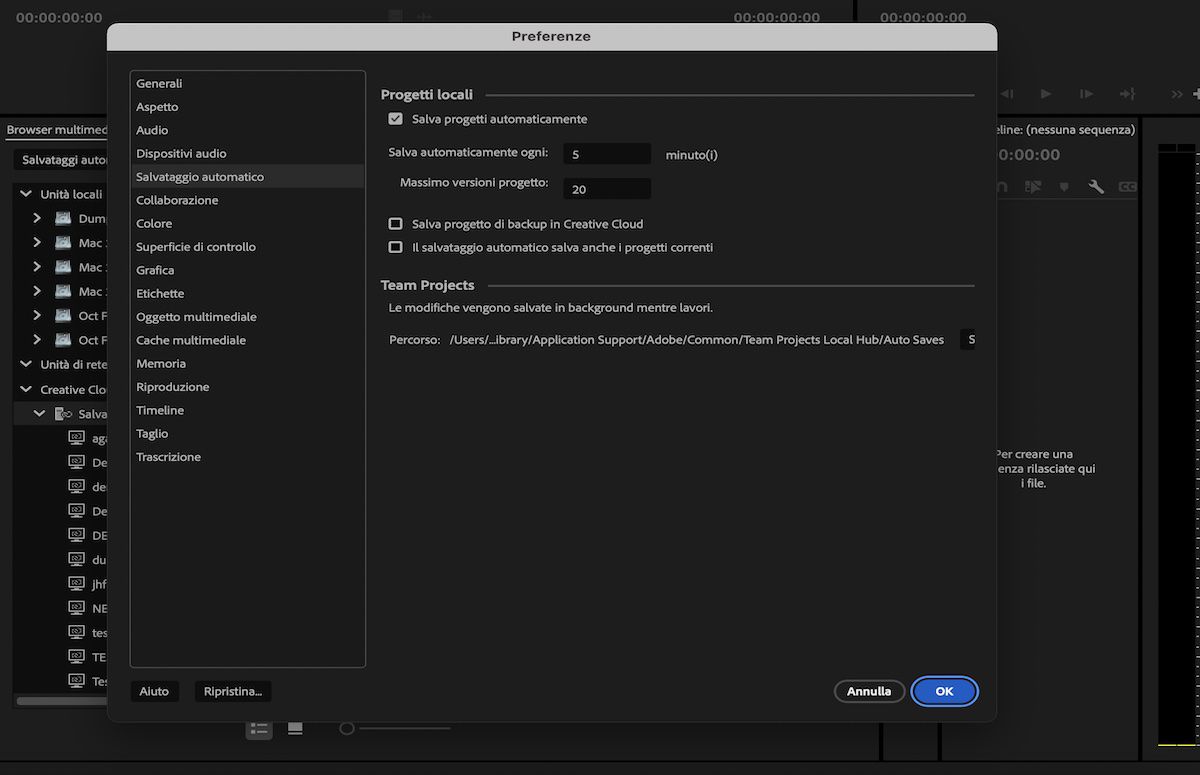 Schermata che mostra l’opzione per specificare un percorso nel sistema per la cache di salvataggio automatico del progetto team.