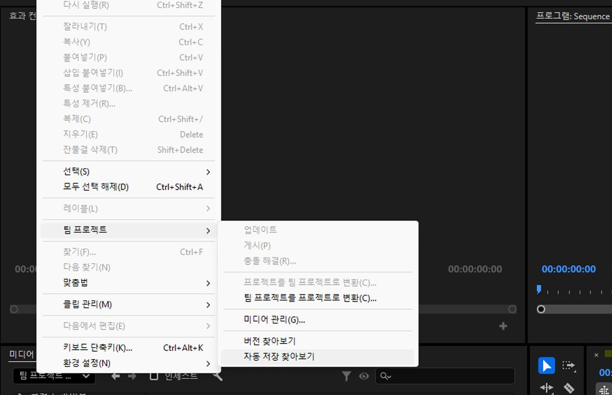 편집 메뉴가 열리면 자동 저장된 버전을 보고 찾아볼 수 있는 옵션이 제공됩니다.